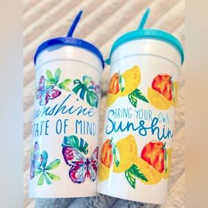 Two Colorful Jumbo Size Tumblers with Lids and Straws NEE